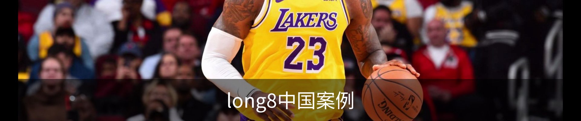 long8中国案例